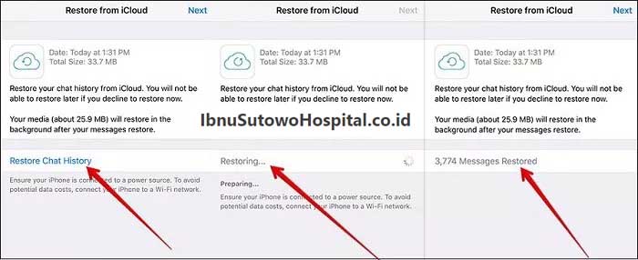 Pulihkan Pesan WhatsApp yang Dihapus Dengan Backup dari iCloud