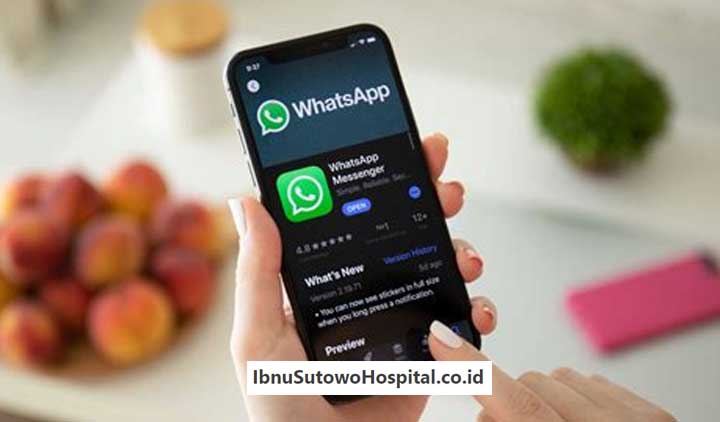 Solusi Mengatasi Whatsapp Tidak Mengirim Pesan di iPhone