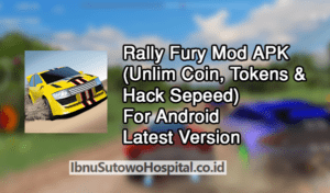 Download Rally Fury Mod APK