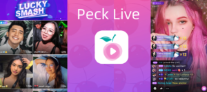 Peck Live Apk
