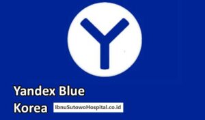yandex blue korea