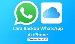 Cara Backup WhatsApp di iPhone