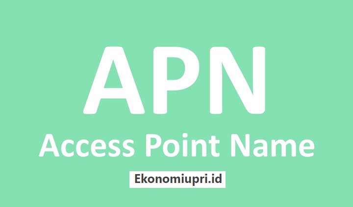 Kegunaan Access Point Name (APN)