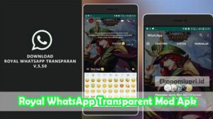 Royal-WhatsApp-Transparent-Mod-Apk