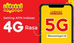 apn indosat