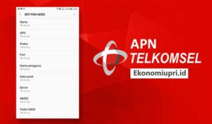 apn telkomsel