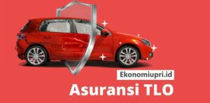 asuransi mobil total loss only tlo