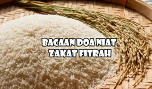 Bacaan Doa Niat Zakat Fitrah lengkap