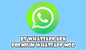 Bt WhatsApp APK