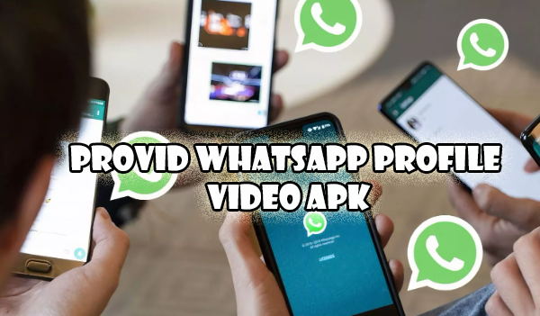 Download Provid WhatsApp Apk
