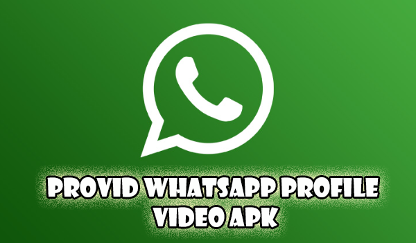 Provid WhatsApp Profile Video Apk