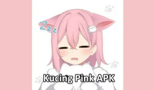 Kucing Pink APK