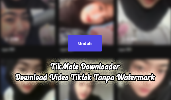 Tikmate Downloader Apk
