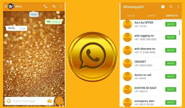 download whatsapp gold apk
