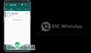 BSEWhatsApp apk