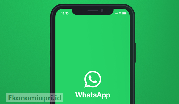 Perbedaan antara WhatsApp Prime Apk dan Versi Asli