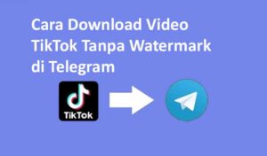 Cara Download Video TikTok Tanpa Watermark di Telegram