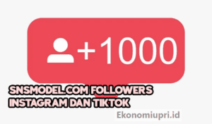SNSModel.com Followers Instagram Dan TikTok